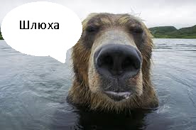 Мужчина перерезал канаты яхты, где его девушка занималась сексом с миллионером