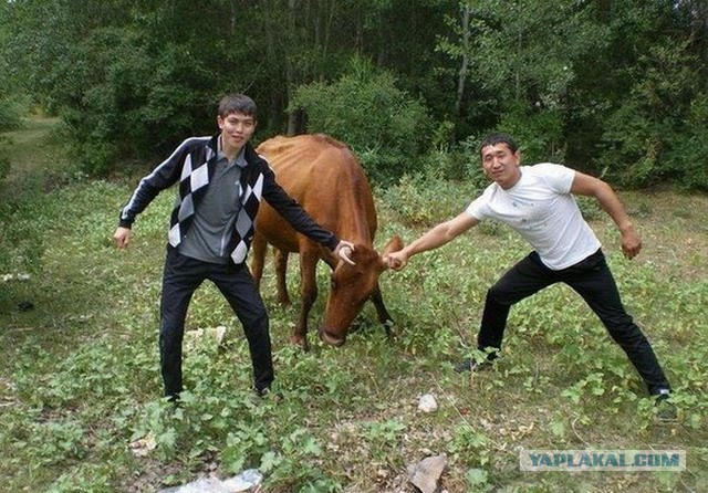 Соцсети - и смех и грех