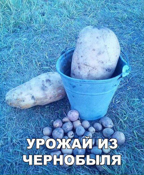 Просто юмор 16