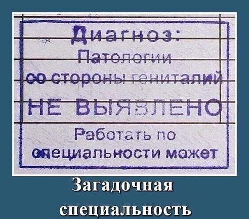 Смешные комментарии из социальных сетей 06.04.2018