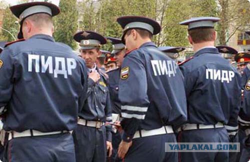 Подборка интересных и веселых картинок
