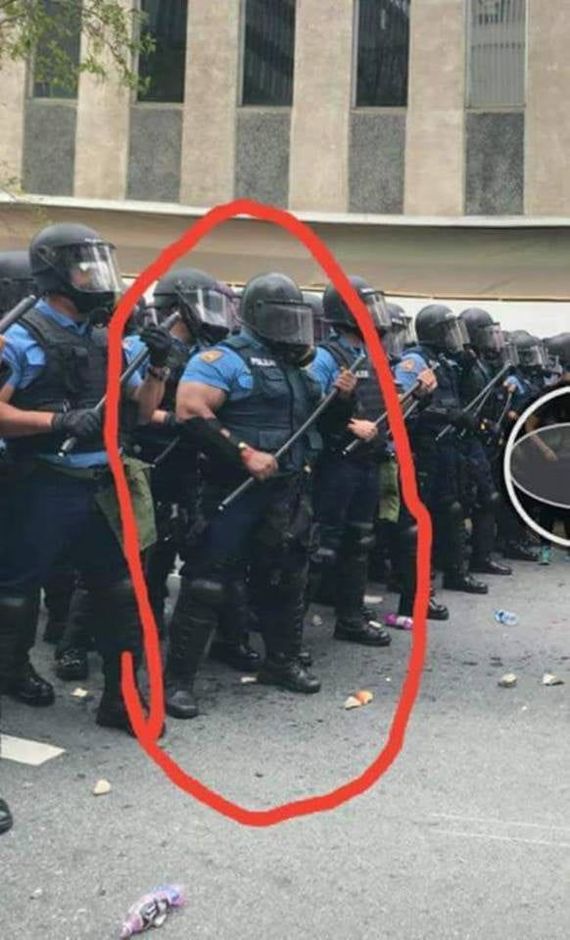 Прикольные картинки обо всем