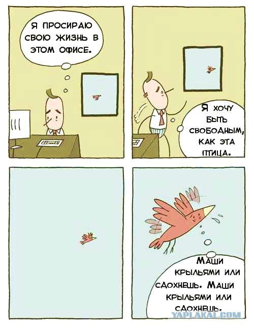 Просто шотландские скалы с высоты птичьего полета