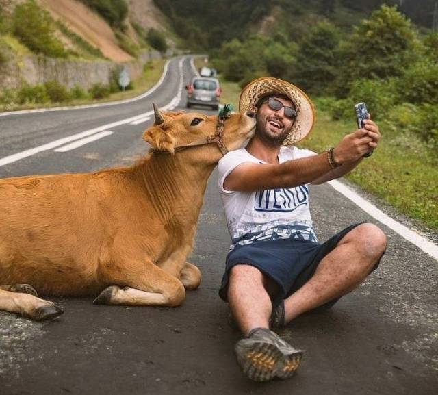 Подборка забавных фоток