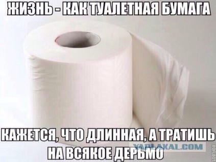 Бумага туалетная