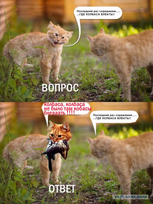 Противостояние