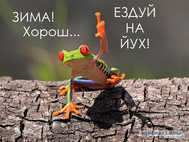 Этот забавный макромир