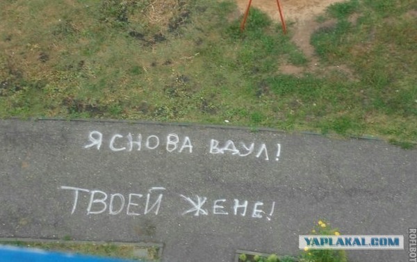 Стихо+картинки