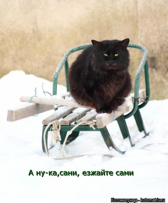 Почему разведенки в большинстве случаев так легко, соглашаются на секс без обязательств