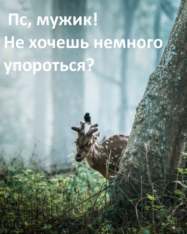 Подборка интересных и веселых картинок 15.02.19