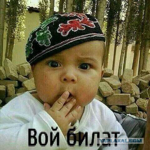 Аттракцион для смелых