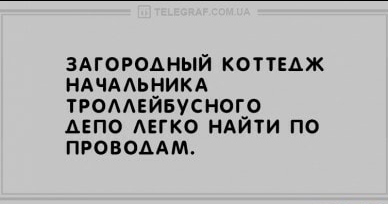Применим физику в постели или белка и стрелка. Картинки