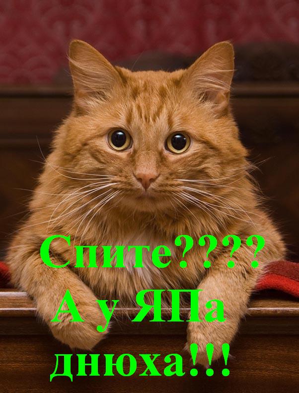 День рождения ЯПлакалъ