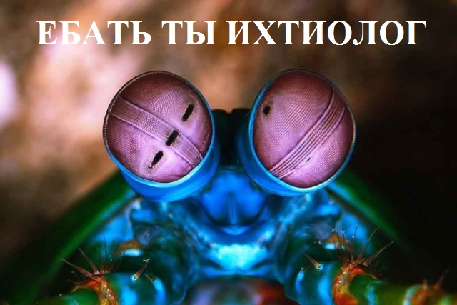 Сногсшибательная тварь на дне океана