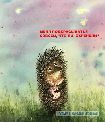 Как технически грамотно развернуть ежа
