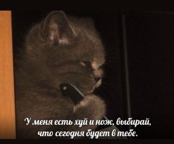 Картинки из рабочего чата 06.04.