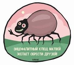 Почему раньше никто не боялся клещей, а сейчас каждую весну о них говорят?