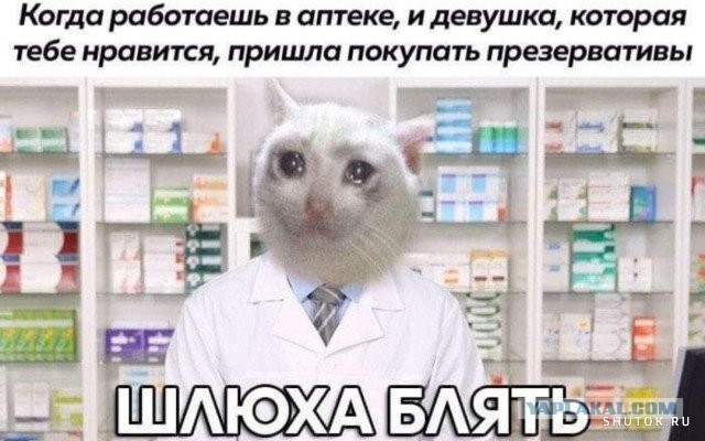 Картинки из рабочего чата 25.04