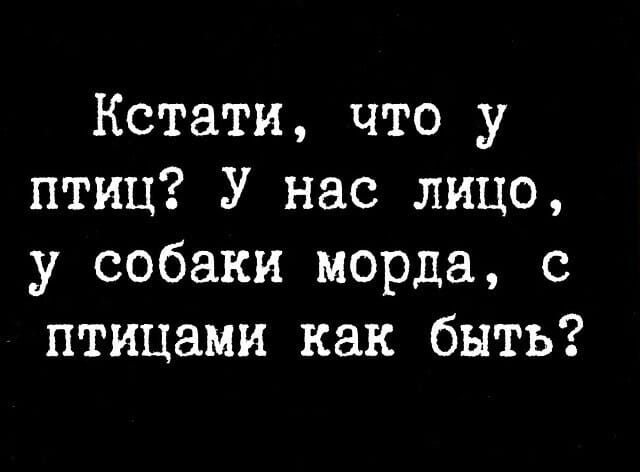 Юмор из соцсетей 13.07.2020