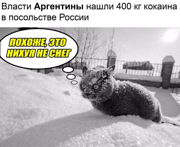 Фотки и картинки: юморные и красивые, забавные и милые 19.09.20