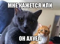 Почему среди мужчин так много мудаков?