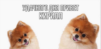 Я люблю вашего мужа
