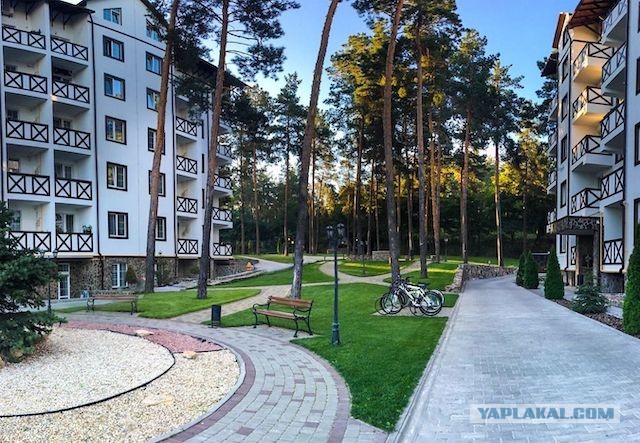 «В Беларуси сложная ситуация». Польша упрощает трудоустройство наших медиков и айтишников