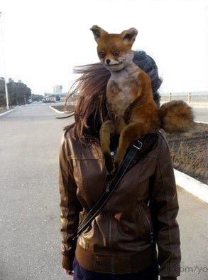 Обработайте фото