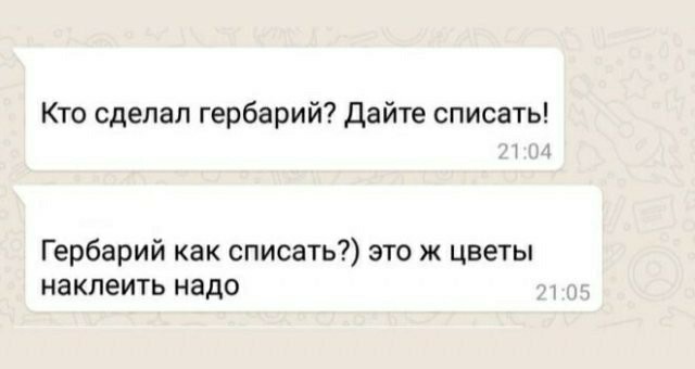 Немного о родительских чатах (в картинках)