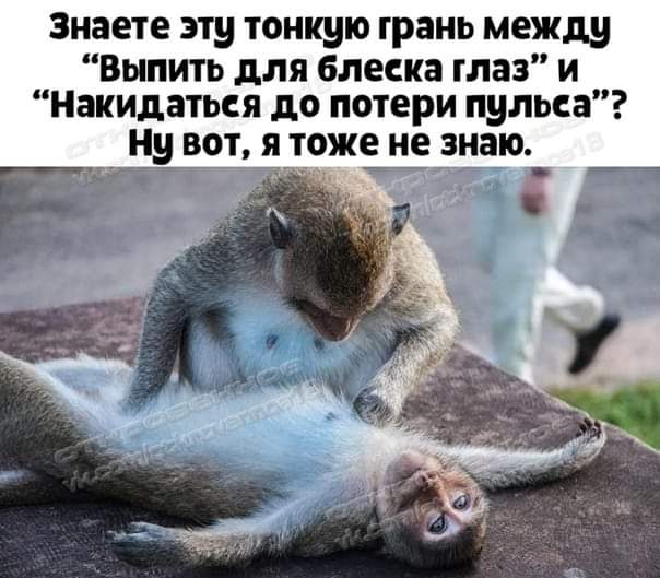 Всяческие картинки 09.07.2021