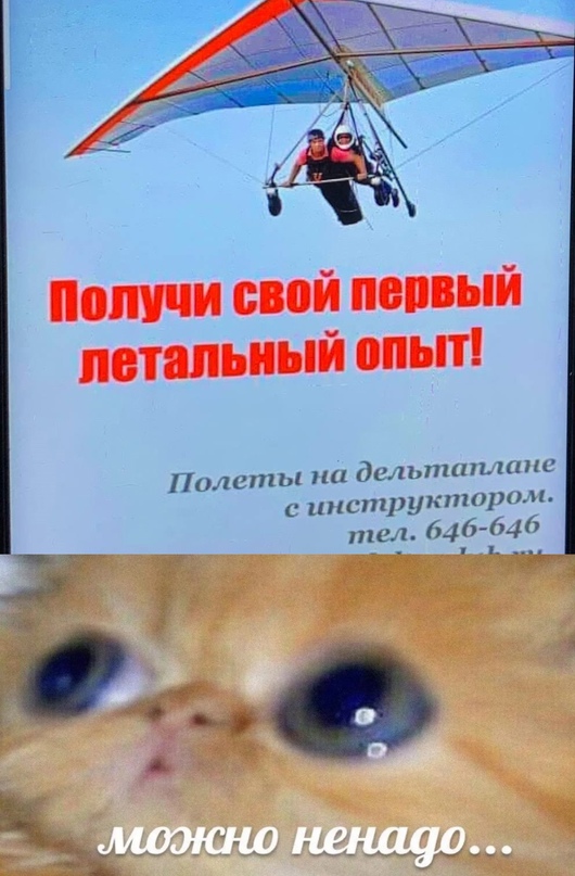 Весёлый полтишок 10.07