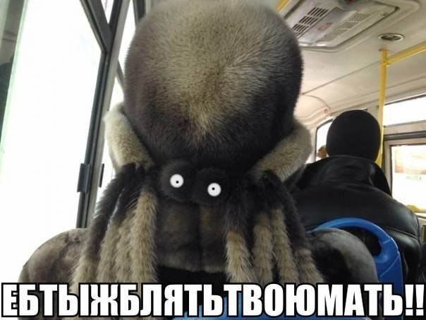Подеградируем, побаяним...