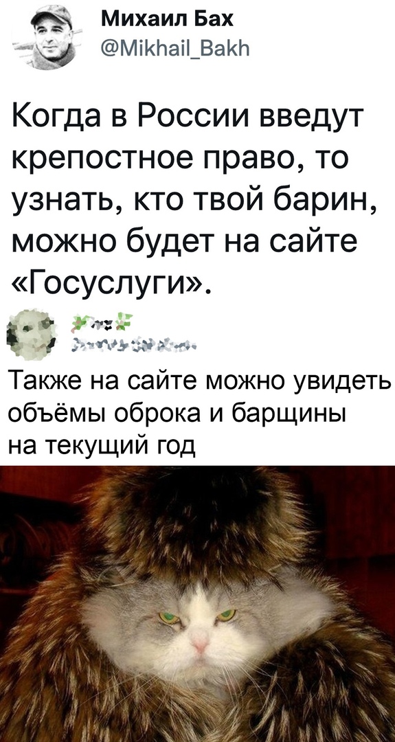 Так себе картинки 26.12.21