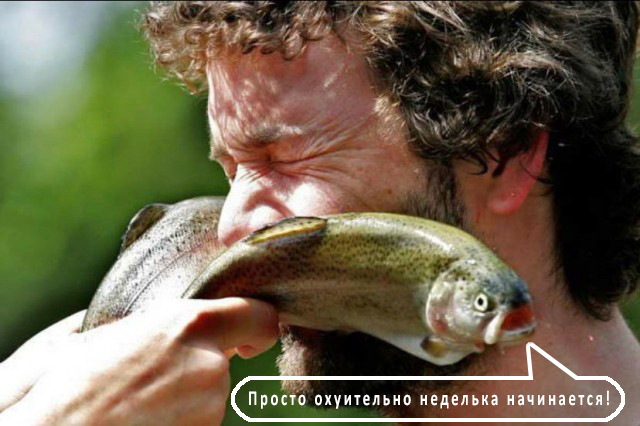 А что, если начать деградировать уже с понедельника...