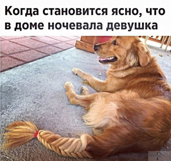 Так себе картинки 02.04.22