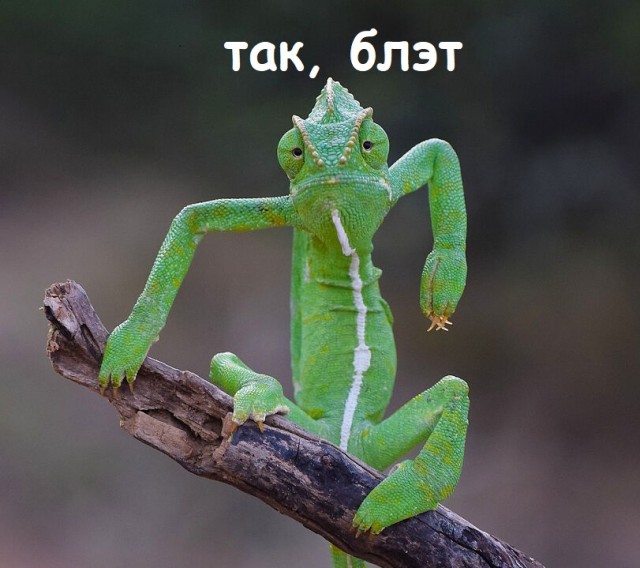 Ленка, фотай давай, я же пазирую