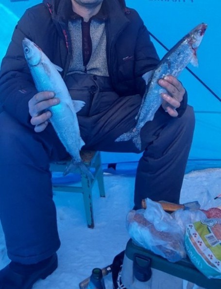 Байкальский омуль увеличился примерно вдвое. Ученые не понимают, в чем дело