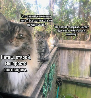 Картинки и мемы для настроения - 27