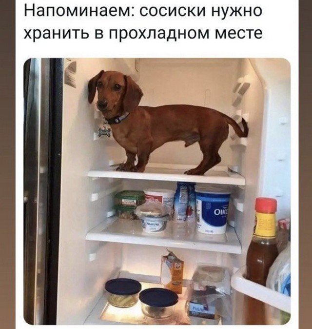 Картинки и мемы для настроения - 31