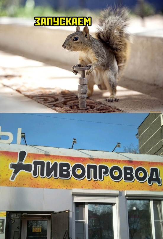 Картинки и мемы, всем хороших выходных