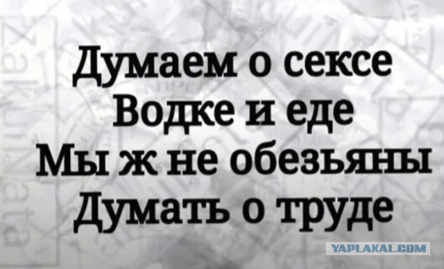 Так себе картинки 22.09.22