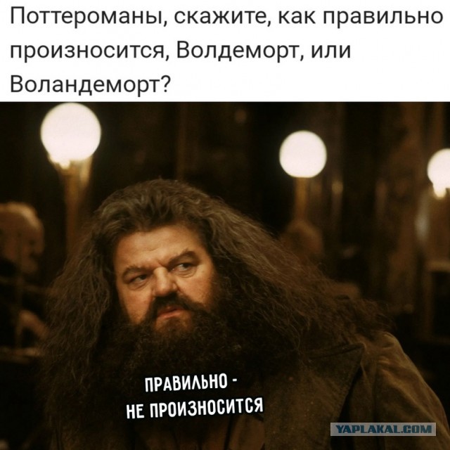 Весёлый полтишок 29.12.22