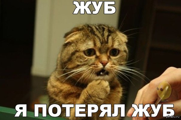 "9-летняя девочка из Мэриленда нашла зуб мегалодона возрастом 15 миллионов лет"