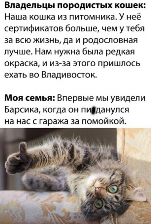 Нуштош 25.02.23