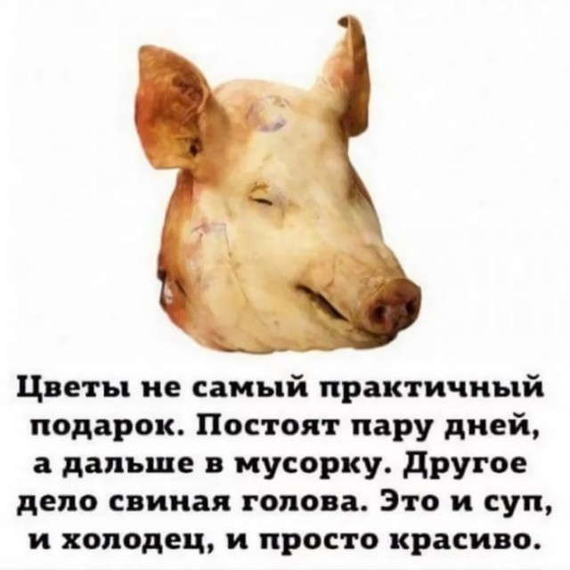 Немного картинок для настроения 07.03.2023