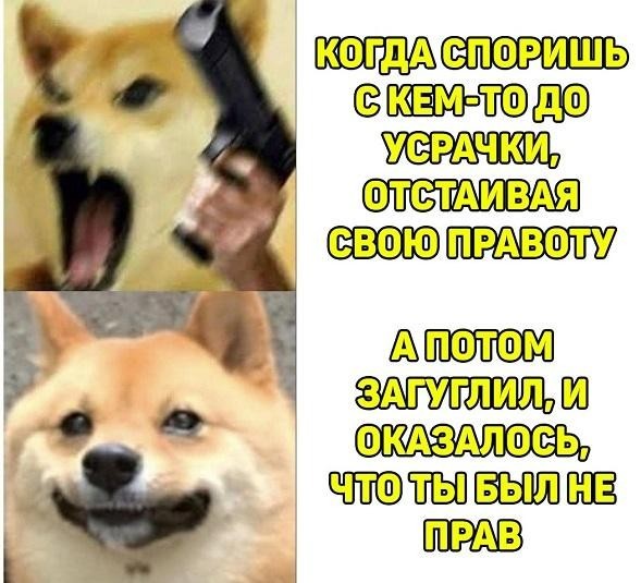 Всего понемногу. От 17.04.23