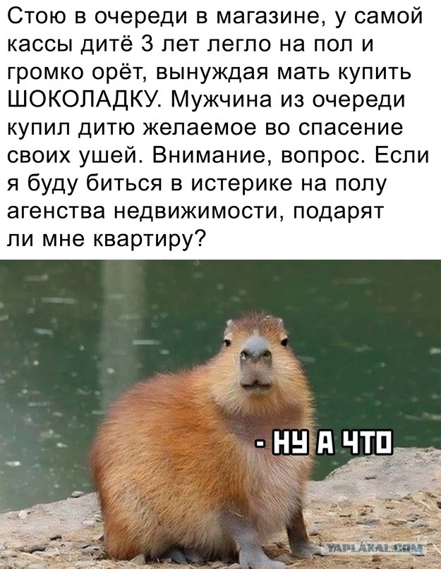 Картинки и мемы, всяко разно - 179