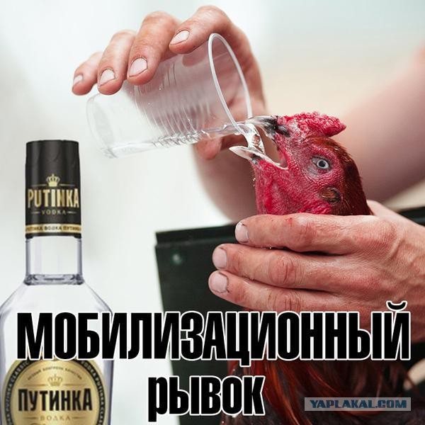 Песков заявил, что Путин готов к контактам для достижения целей СВО иными путями