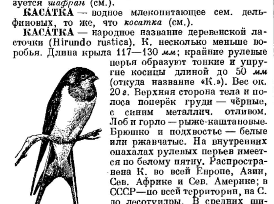 Косатки просто проходят мимо двух плавающих детей