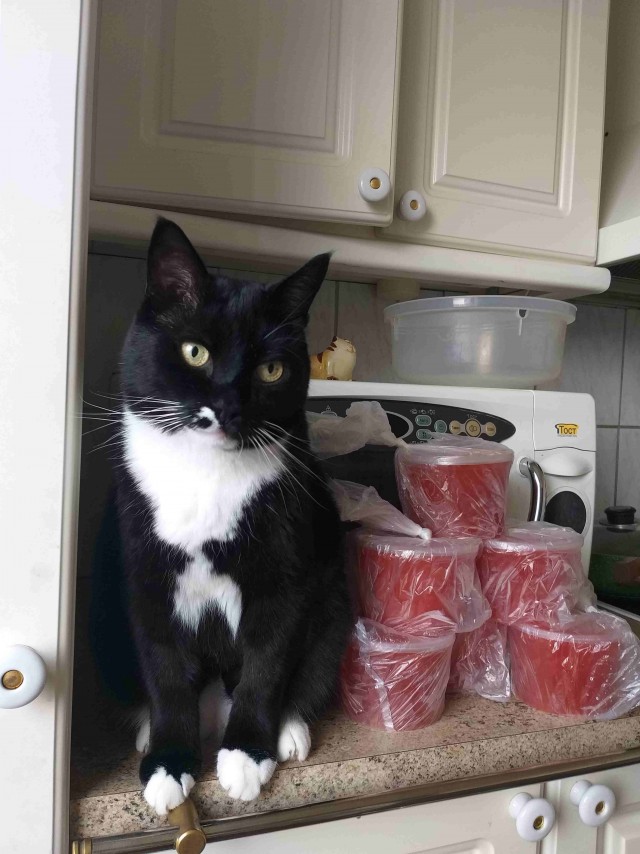 Выбирай⁠⁠